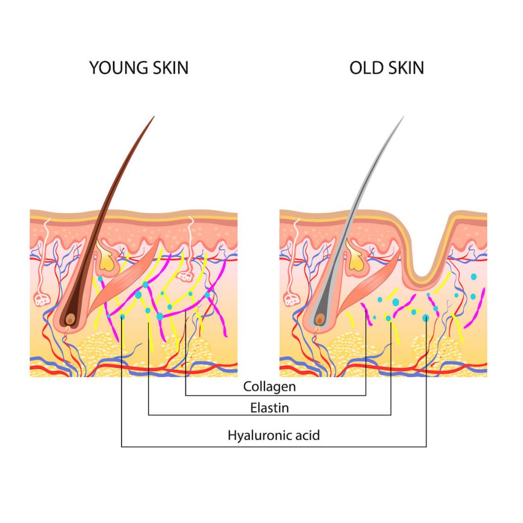 collagen benefits skin