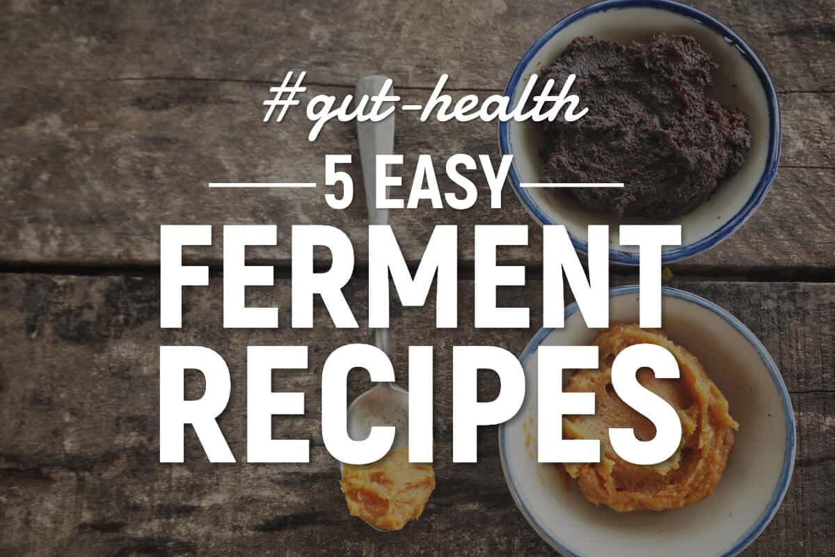 fermented food recipes